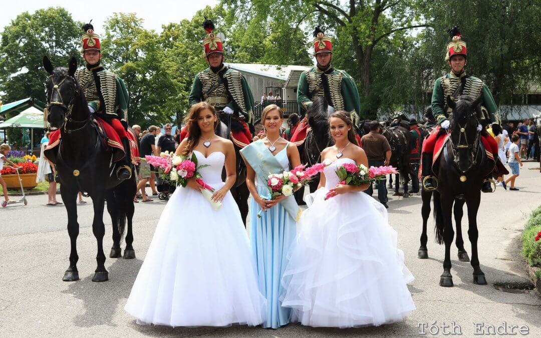 Mezőhegyesi fogat vitte körbe az Anna-bál szépét