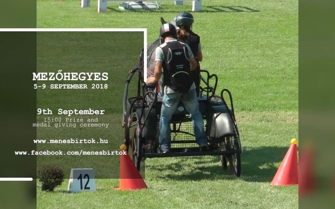 Only a couple of weeks left until the FEI World Championships for Young Horses – THANK YOU FOR SHARING!