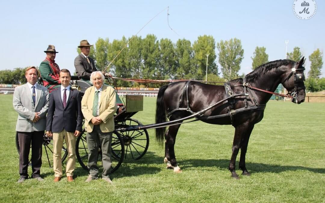 Sajtótájékoztató – Kommüniké