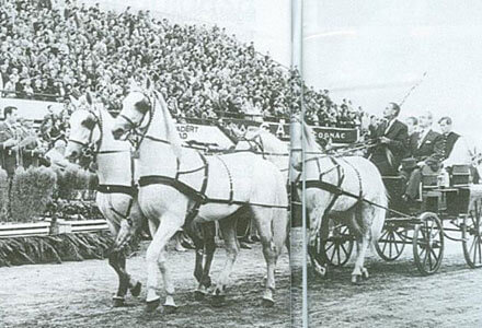 Abonyi Imre:”Mindegy milyen a ló színe, csak szürke legyen”