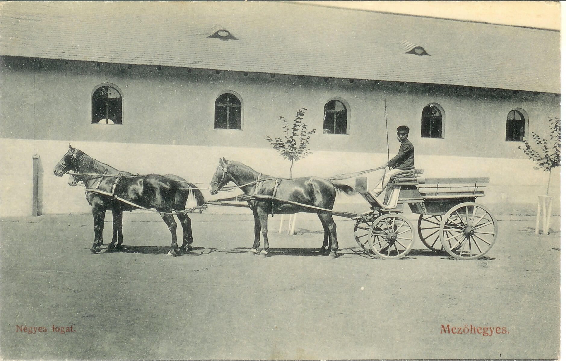 Négyesfogat a központban