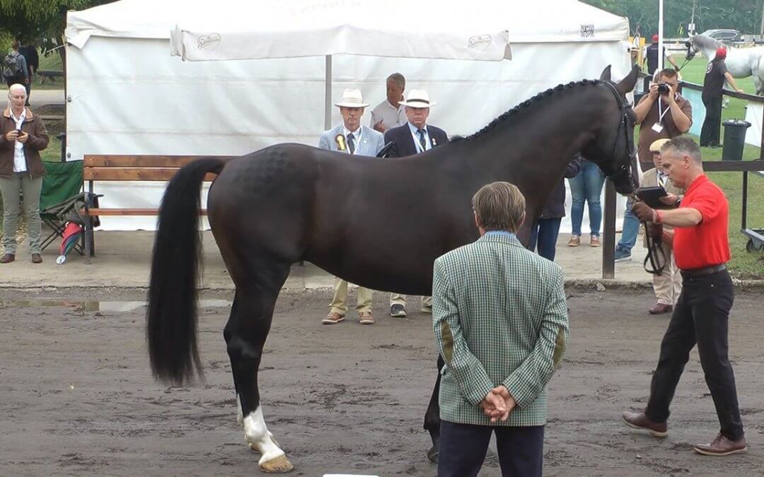 Elkezdődött a világbajnokság
