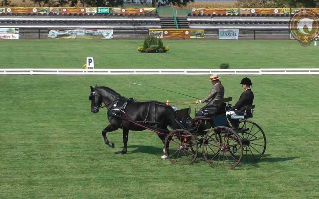 DAJLUK is the 1st winner of the World Championship