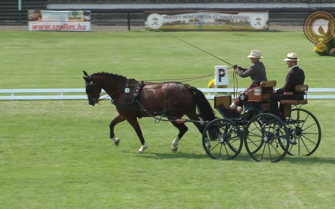 Die Fahrerin von CHARLY BROWN war beeindruckt von ihrer Leistung
