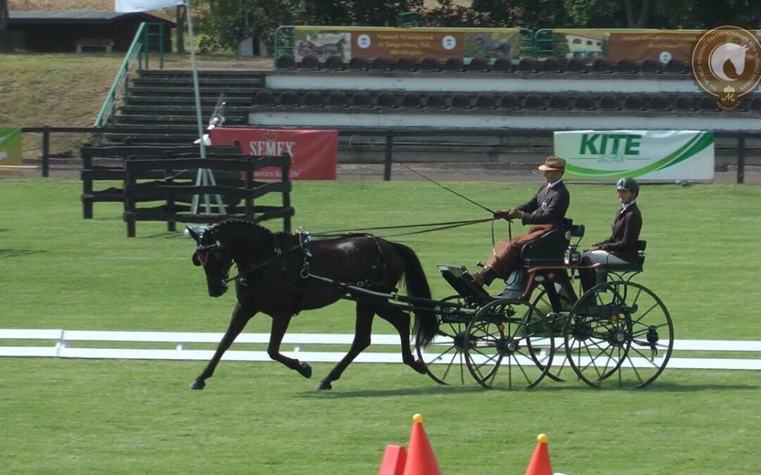 SAN REMO ROYAL kapta a legjobb pontszámot