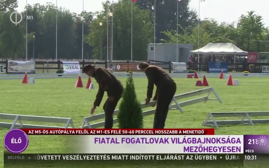 IV. Fiatal Fogatlovak Világbajnoksága az MTV-ben.