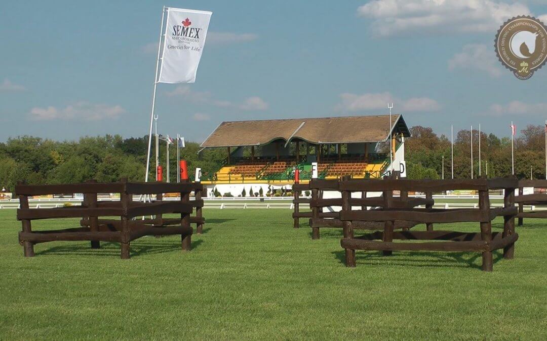 Elkezdődött a döntő Mezőhegyesen