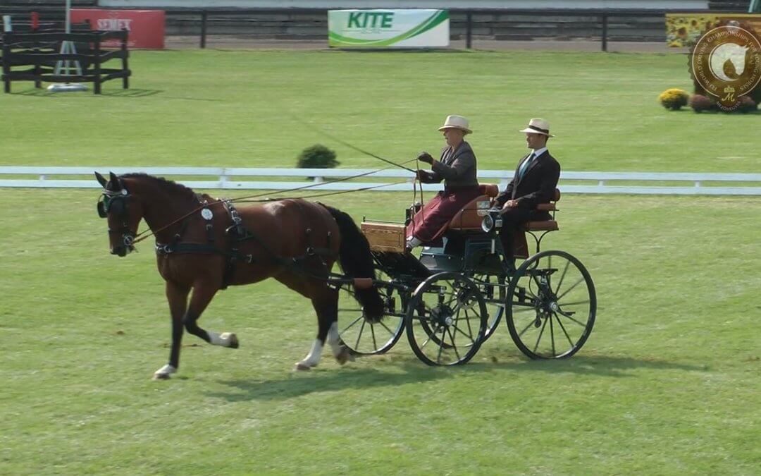 CHARLY BROWN hajtója elégedett teljesítményükkel