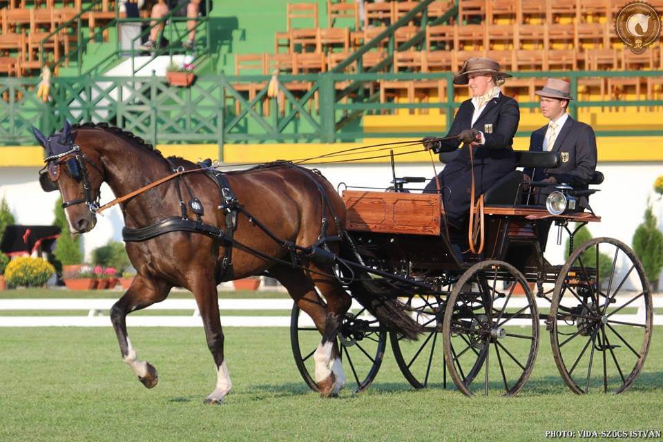 Lengyel, luxemburgi, német siker
