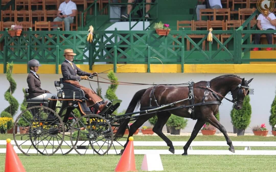 SAN REMO ROYAL close to 8 points