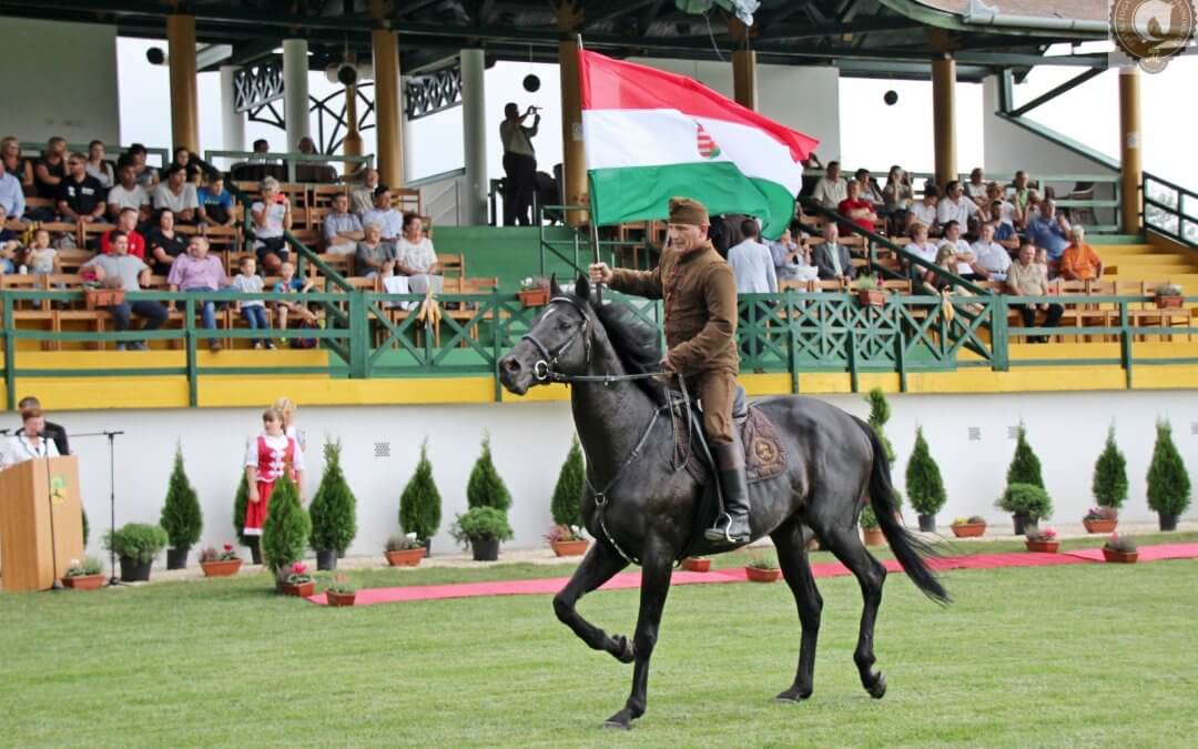 The opinion of the FEI Chairman of the Driving Committee