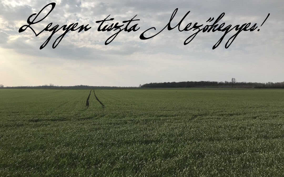 Legyen tiszta Mezőhegyes!