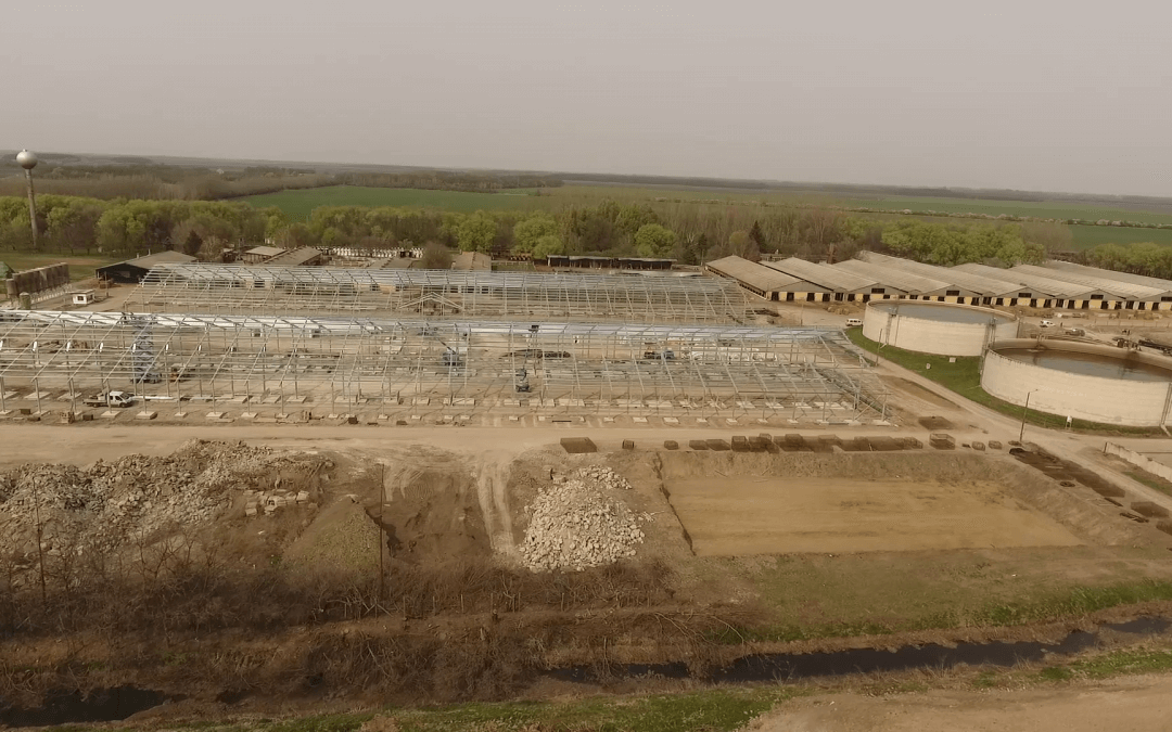Folytatódik a 11. majori szarvasmarha telep rekonstrukciója – interjú Turbucz Péter beruházási és fejlesztési vezérigazgató-helyettessel