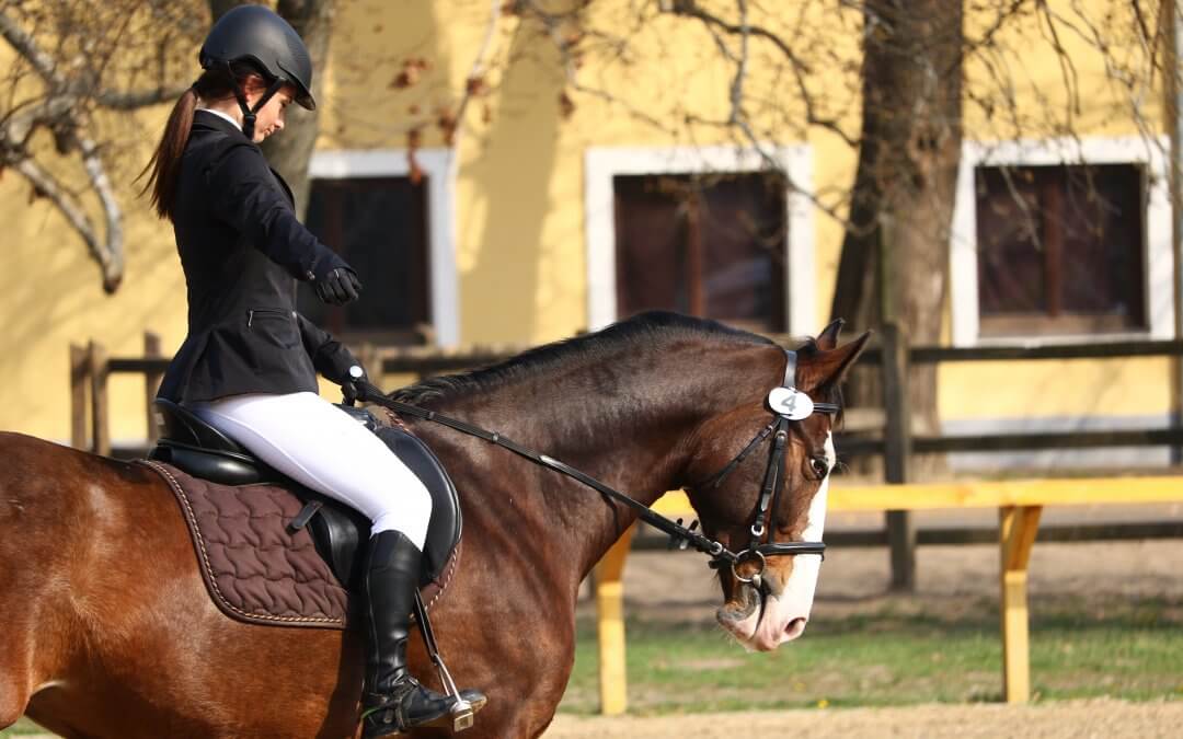 Tanulj a Ménesbirtok iskolájában!