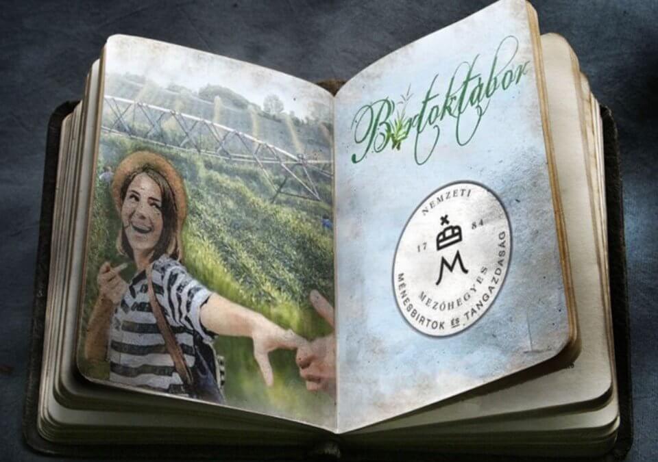 Jelentkezz mezőgazdasági idénymunkára!