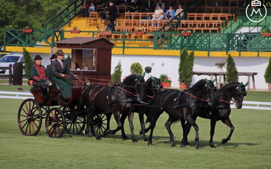 A patanyomok ismét Mezőhegyesre vezettek – rangos nemzetközi fogathajtó verseny május első hétvégéjén
