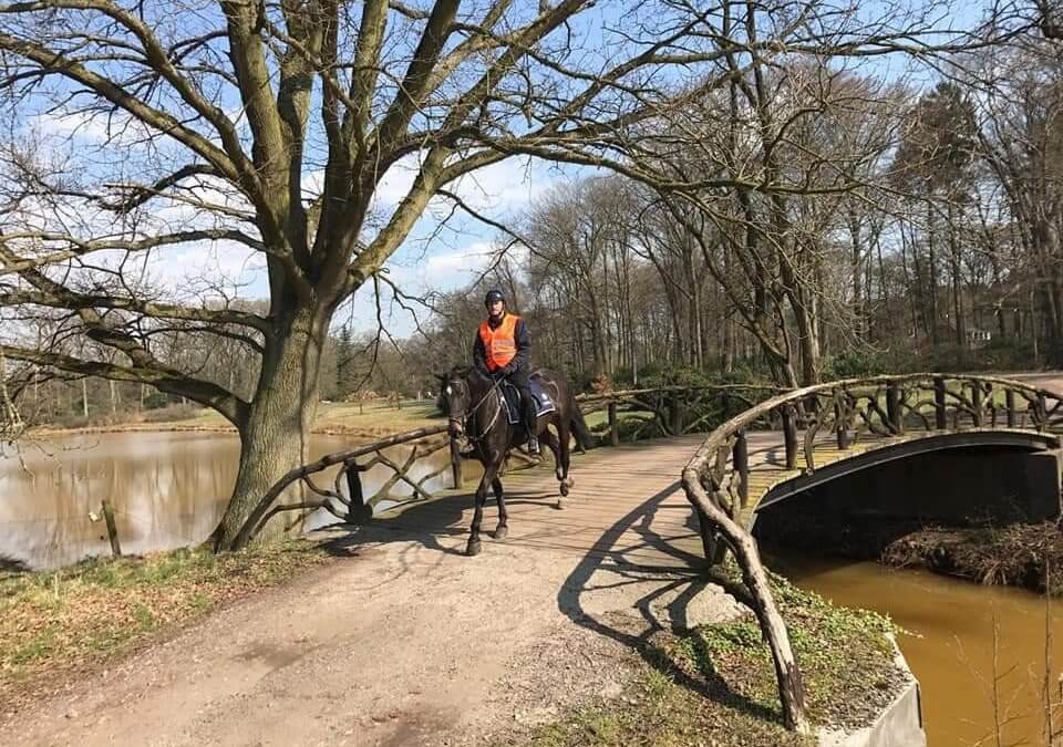 A gidránok is a belga Készenléti Rendőrség szolgálatába álltak