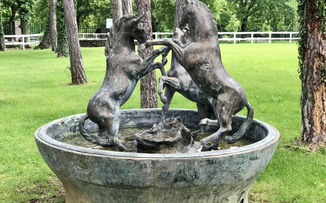 A turizmus a nagy múltú állami ménes jelene és jövője – tanulmányút Lipicán