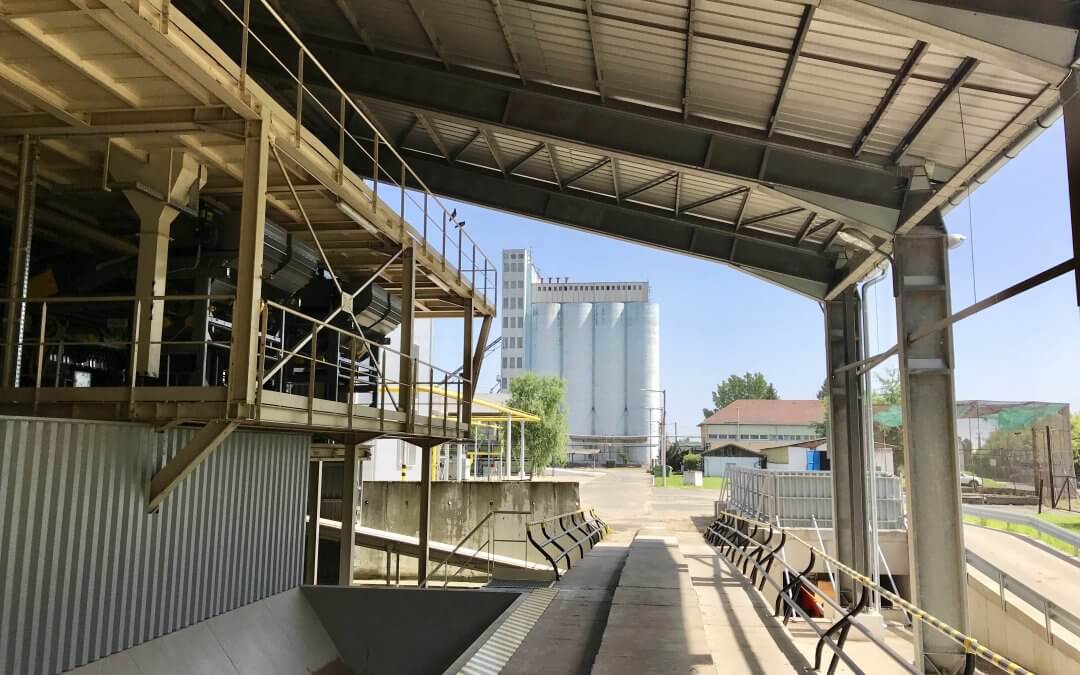 A mezőhegyesi vetőmagüzem újra az állami vagyon része