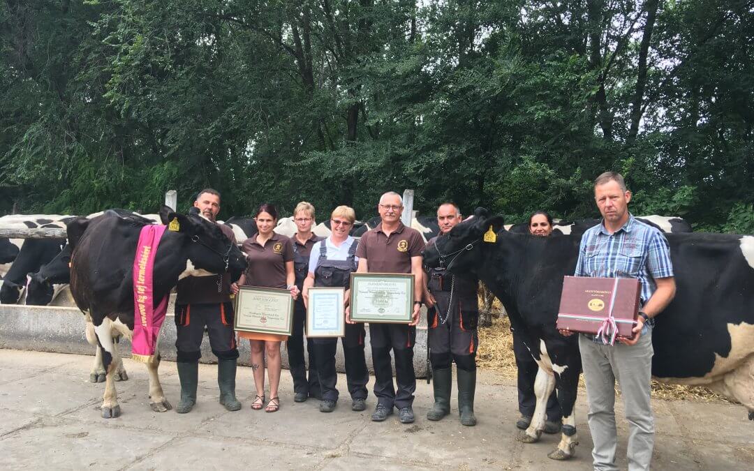 5194 Juci a 23. Aranytörzskönyves szarvasmarha a Ménesbirtokon