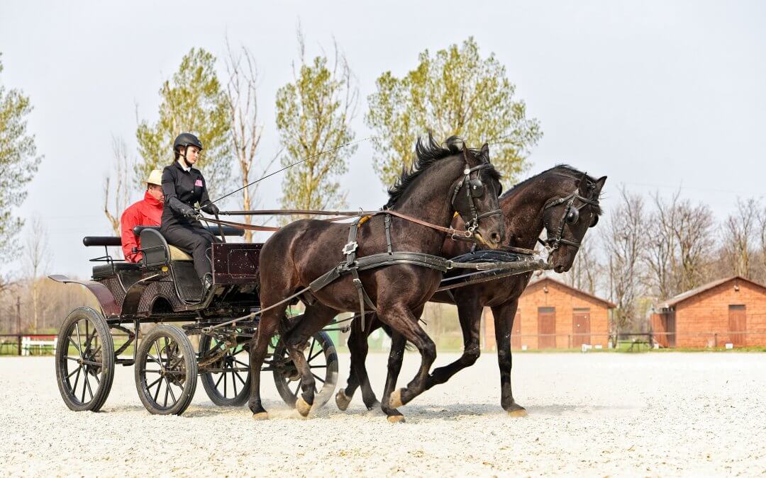 A Ménesbirtok iskolájának beszámolója a 2018/2019-es tanévről