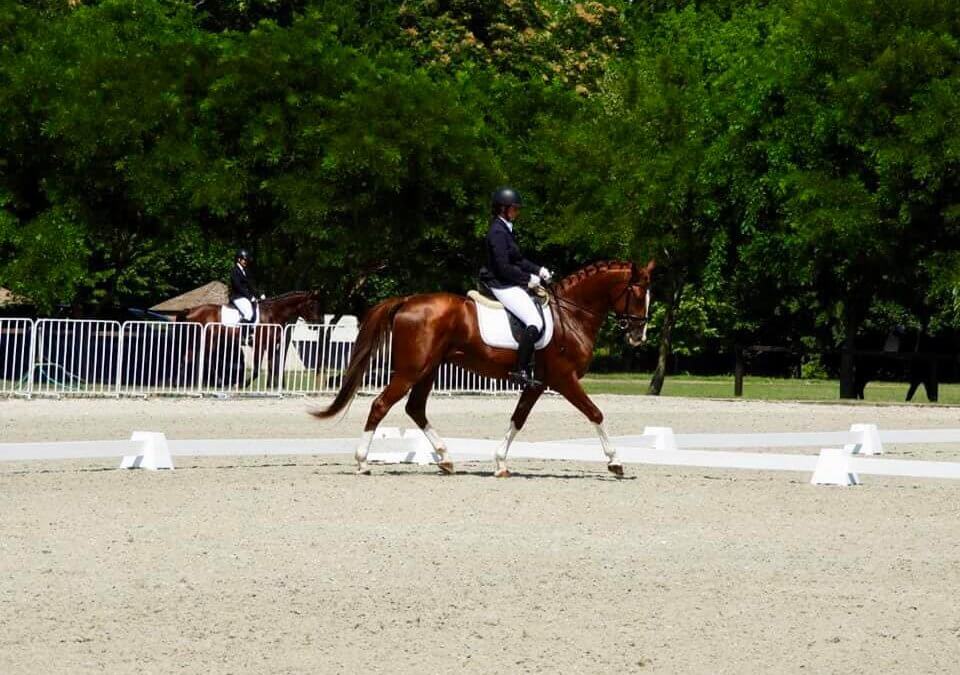 Kiemelkedő eredmények a regionális díjlovas versenyen