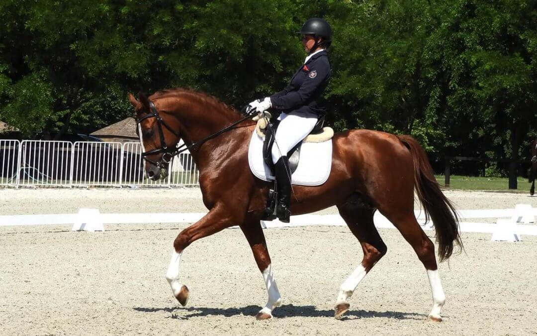 Díjlovas verseny CDN-A*/B, Kruzsicz József emlékverseny 2019