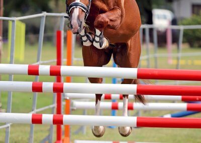 Gidran XXVII-43 (Kartel)