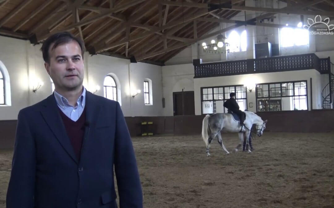 Mégsem hoz szerencsét a lópatkó?