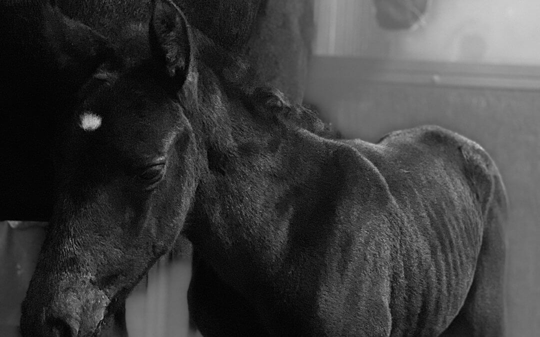 Kövesse Társaságunk életét az Instagramon is!