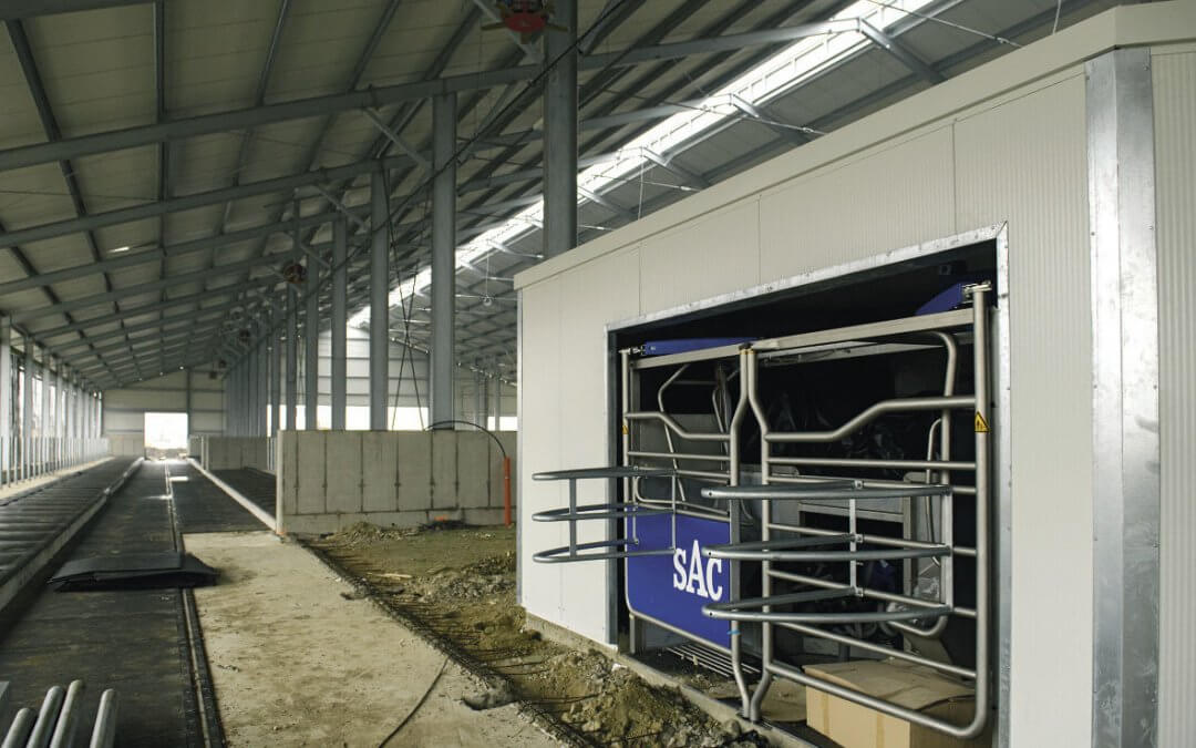 Ménesbirtok: az idei a fejlesztések éve