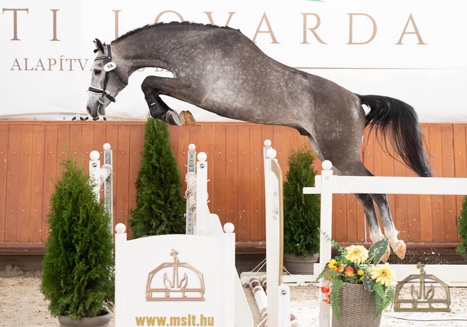 Nestor M a Champion!!