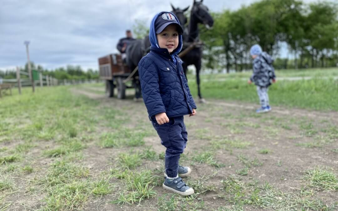 Pusztakocsikázás a Ménesbirtokon