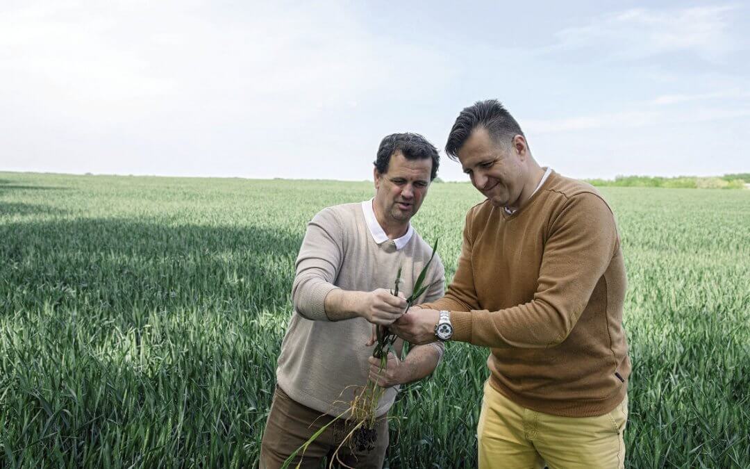 Csak egy átlagos évet szeretnének